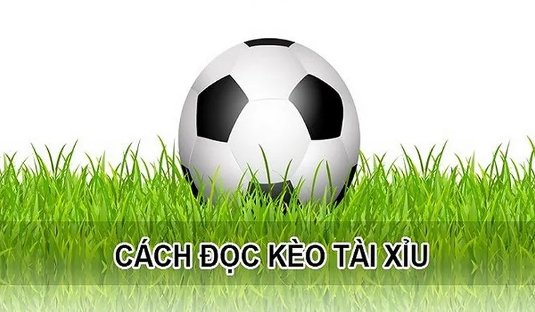 Cách Chơi Kèo Tài Xỉu Hiệu Quả Cho Người Mới Bắt Đầu Tham Gia Cá Cược