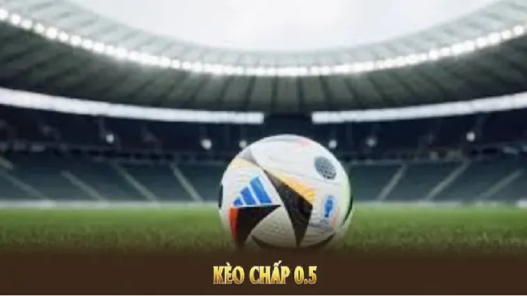 Hướng Dẫn Chi Tiết Cách Chơi Kèo Chấp 0.5 Hiểu Rõ Thắng Thua Chuẩn Xác