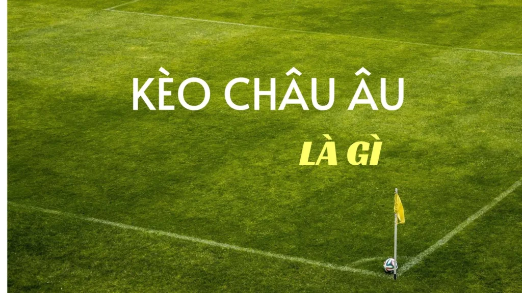 Cách Chơi Kèo Châu Âu Hiệu Quả Cho Người Mới Tham Gia Cá Cược Bóng Đá