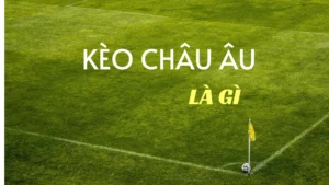Cách Chơi Kèo Châu Âu Hiệu Quả Cho Người Mới Tham Gia Cá Cược Bóng Đá